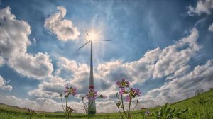 Wij voeren namens zeventien gemeenten en de provincie Noord-Holland diverse milieutaken uit. Denk hierbij aan thema's als energie, duurzaamheid, luchtkwaliteit, kwaliteit van de bodem, geluid, veiligheid en flora & fauna