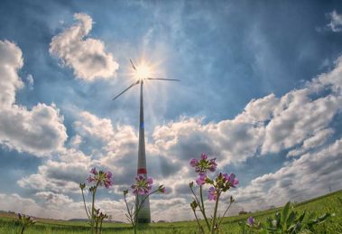Wij voeren namens zeventien gemeenten en de provincie Noord-Holland diverse milieutaken uit. Denk hierbij aan thema's als energie, duurzaamheid, luchtkwaliteit, kwaliteit van de bodem, geluid, veiligheid en flora & fauna