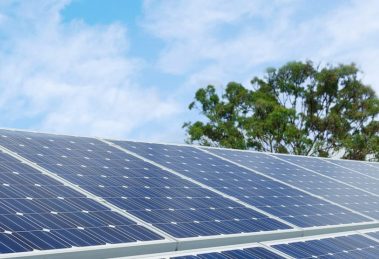 Onder de noemer GreenBiz IJmond werken ondernemers in de IJmond samen aan het verduurzamen van het eigen bedrijf én het bedrijventerrein. GreenBiz IJmond is georganiseerd als vereniging, wordt ondersteund door Omgevingsdienst IJmond en werkt bovendien nauw samen met OV IJmond.