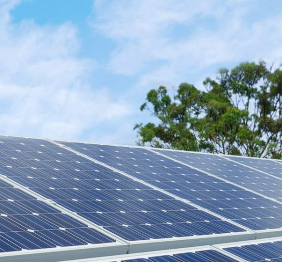 Onder de noemer GreenBiz IJmond werken ondernemers in de IJmond samen aan het verduurzamen van het eigen bedrijf én het bedrijventerrein. GreenBiz IJmond is georganiseerd als vereniging, wordt ondersteund door Omgevingsdienst IJmond en werkt bovendien nauw samen met OV IJmond.